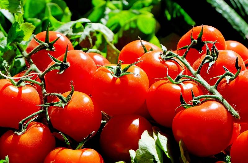 Il Licopene dei pomodori contro il cancro alla prostata